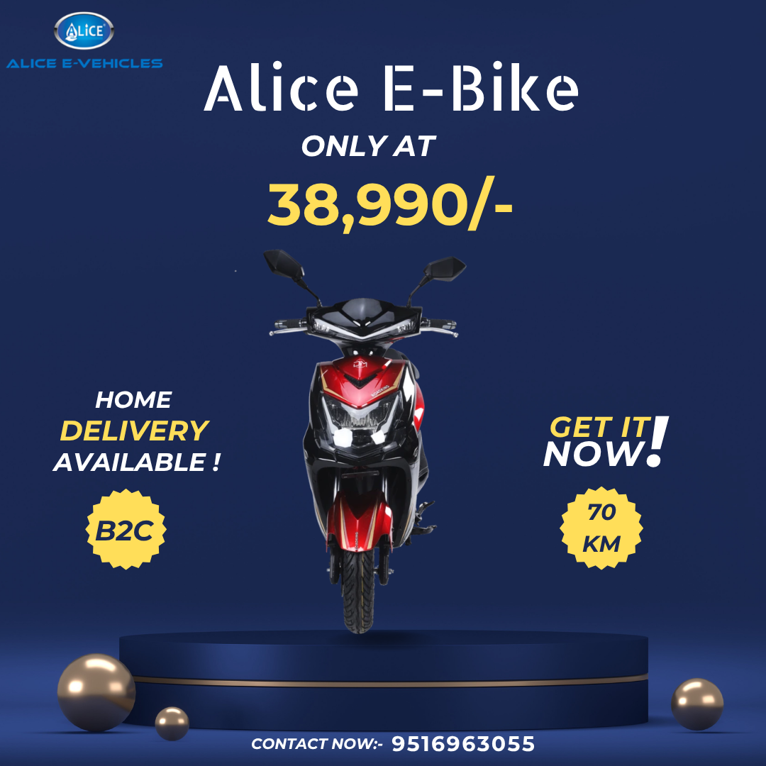 Professional Webinar Flyer